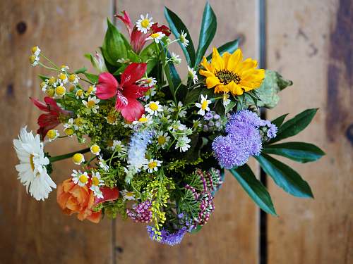 flower bouquet assorted-color flowers on brown wood ornament